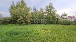 8979816 Победит 2