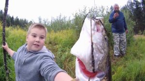 Открываем грибной сезон!!!Установили грибные сушилки в лесу!!!