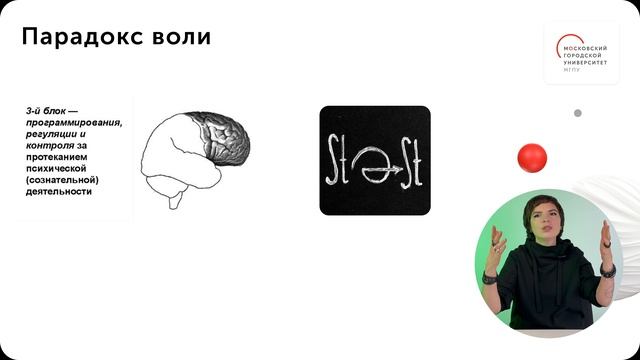 Ловушки любопытства (непроизвольного внимания) смотреть онлайн