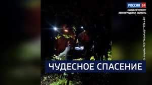 ВЕСТИ 24 Санкт-Петербург от 28.08.2025