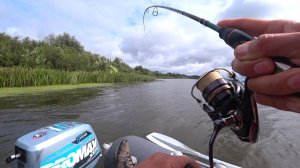 Осторожно на Реке %@ЗЛЫ! Спиннинг в Августе на Оке! Рыбалка с Берега с Лодки!