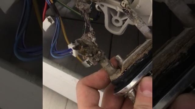 Ремонт стиральных машин в Омске. Выезд мастера на дом +7 (381) 299-42-34 (RBT Service)