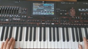 Modern Talking - Do You Wanna (Korg Style & Danekoo1) 2023