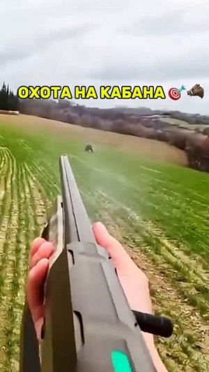 Охота на Кабана 🐗🎯