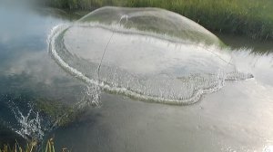 Кастинговая сеть 25-ка, после перепадов уровня воды.