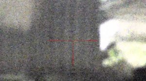 Прицел ночного видения цифровой Sytong HT60 LRF. Тест.