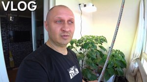 VLOG' БОРД ДЛЯ СВЕРХ ОСТРОГО ПЕРЦА КАРОЛИНА РИПЕР