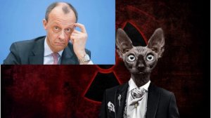 Немцы узнали, что Мерц потратил на стрижки 12 тысяч евро / Кот Костян