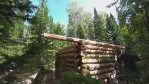 ДВА ДНЯ В ТАЙГЕ. СТРОЮ ИЗБУ БРОДЯЧЕГО ОТШЕЛЬНИКА КАК В 90-хх. ДЕЛАЮ ПОТОЛОК СИЛЫ НА ИСХОДЕ.