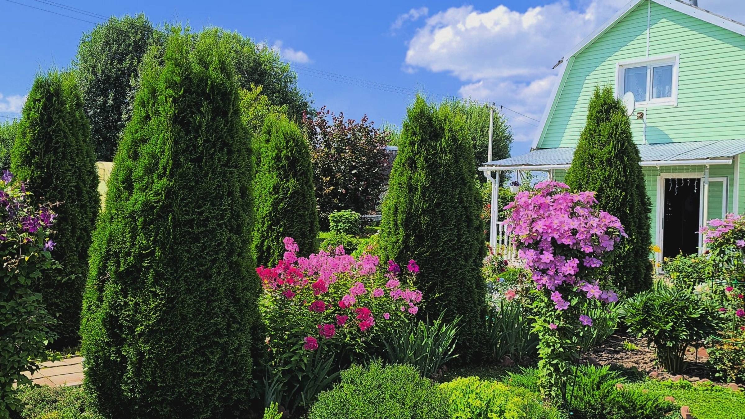 Дача 28.08.25 🏡Завтрак.Сюрприз,урожай томатов!🍅Секреты пышного цветения крупнолистной гортензии!🌺 смотреть онлайн