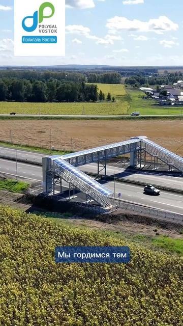 IMG_3117 смотреть онлайн