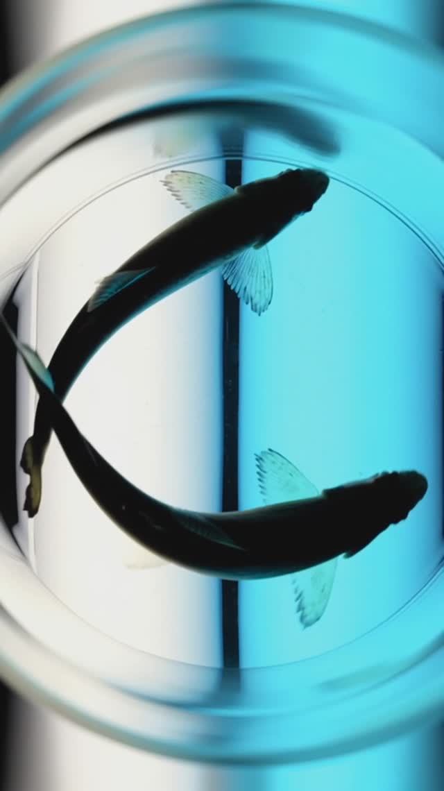 Вода на мальковом заводе