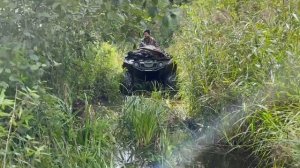 Квадроцикл Т9 Мини. 3 . Лес.