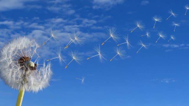 Облетаю смотреть онлайн