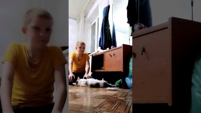 фильм серьёзный кот 1 часть смотреть онлайн