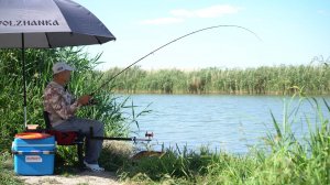 Ловля белой рыбы на реке Маныч на фидер