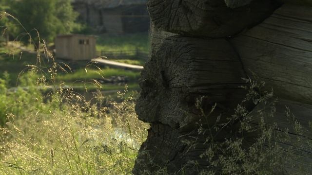 Поморская протяжная "Во туманицке пекет..."