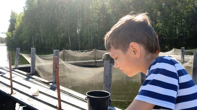 лето продолжается 2025.08.26 смотреть онлайн