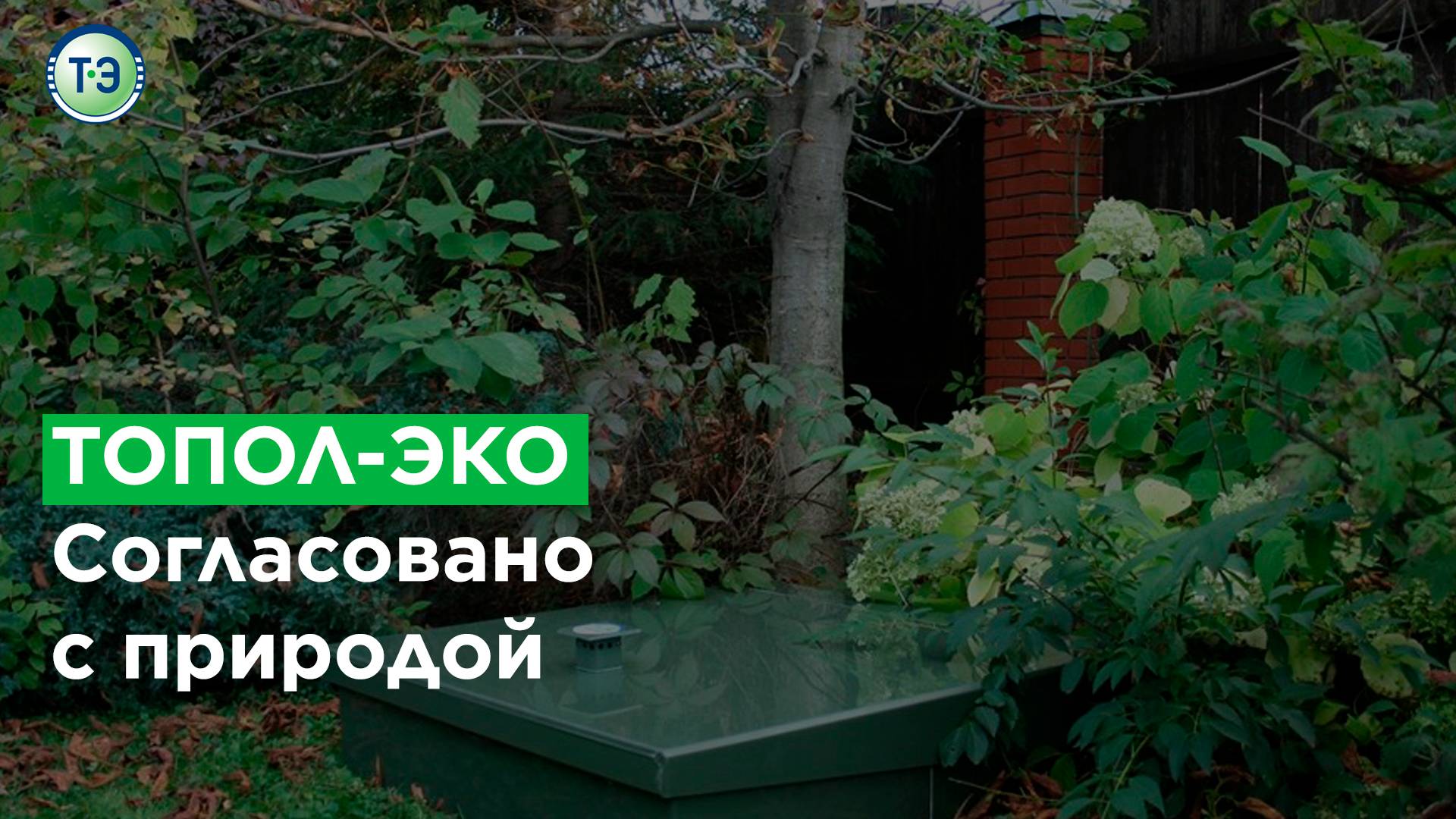 ТОПОЛ-ЭКО. Согласовано с природой. смотреть онлайн