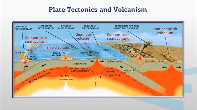 Сапронова 2 3