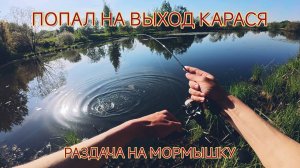 ЖИРНЫЕ КАРАСИ НА МОРМЫШКУ. РЫБАЛКА НА СПИННИНГ. МОРМЫШИНГ.