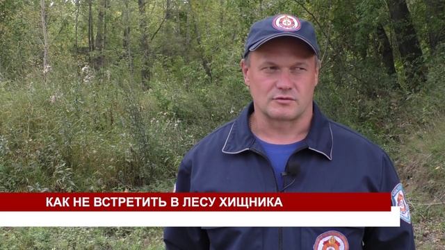 КАК НЕ ВСТРЕТИТЬ В ЛЕСУ ХИЩНИКА смотреть онлайн