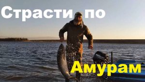 Страсти по Амурам.