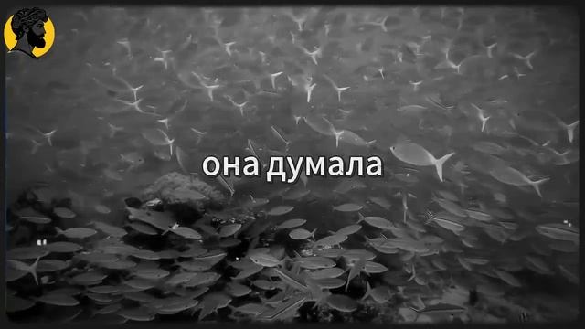 (12 УРОК) Посмотрите, что произойдет, когда она поймет, что ты не вернешься _ СТОИЦИЗМ смотреть онлайн
