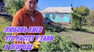 САМВЕЛ АДАМЯН, ЛЮБОВЬ КИЕВ, ЧТО РАСТЕТ У ТАНИ В ОГОРОДЕ..
