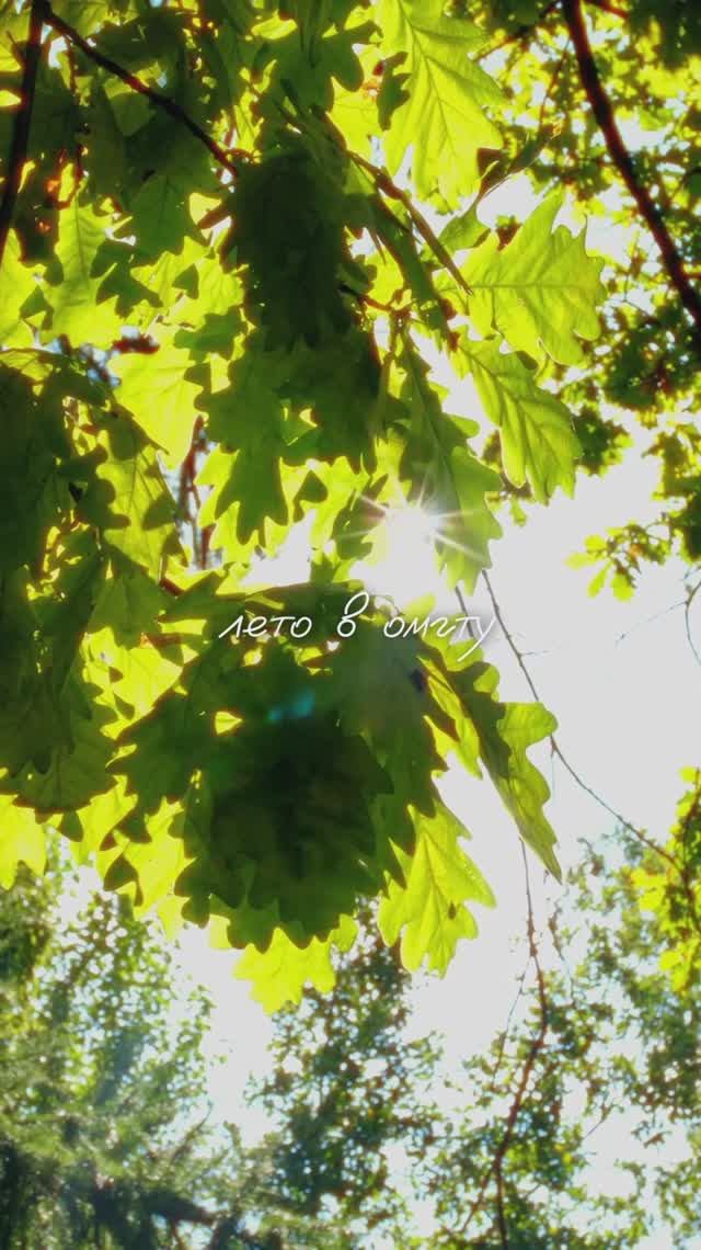 Вот и лето прошло ☀ смотреть онлайн