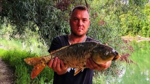 Рыбалка река Кубань Шапарской пляж, сход трофея !!!