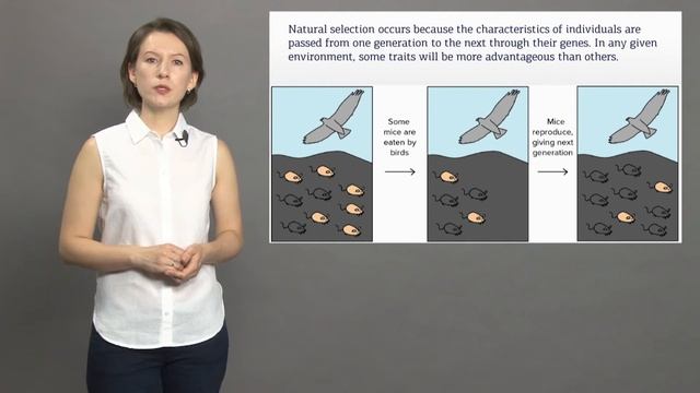 2 курс Сапронова 3 3