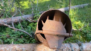 Сбор морошки 2025. Ловушка на медведя и другие интересные находки в лесу.