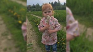 Официальное обращение к начальнику следственного комитета России - Бастрыкину Александру от 29.08.25