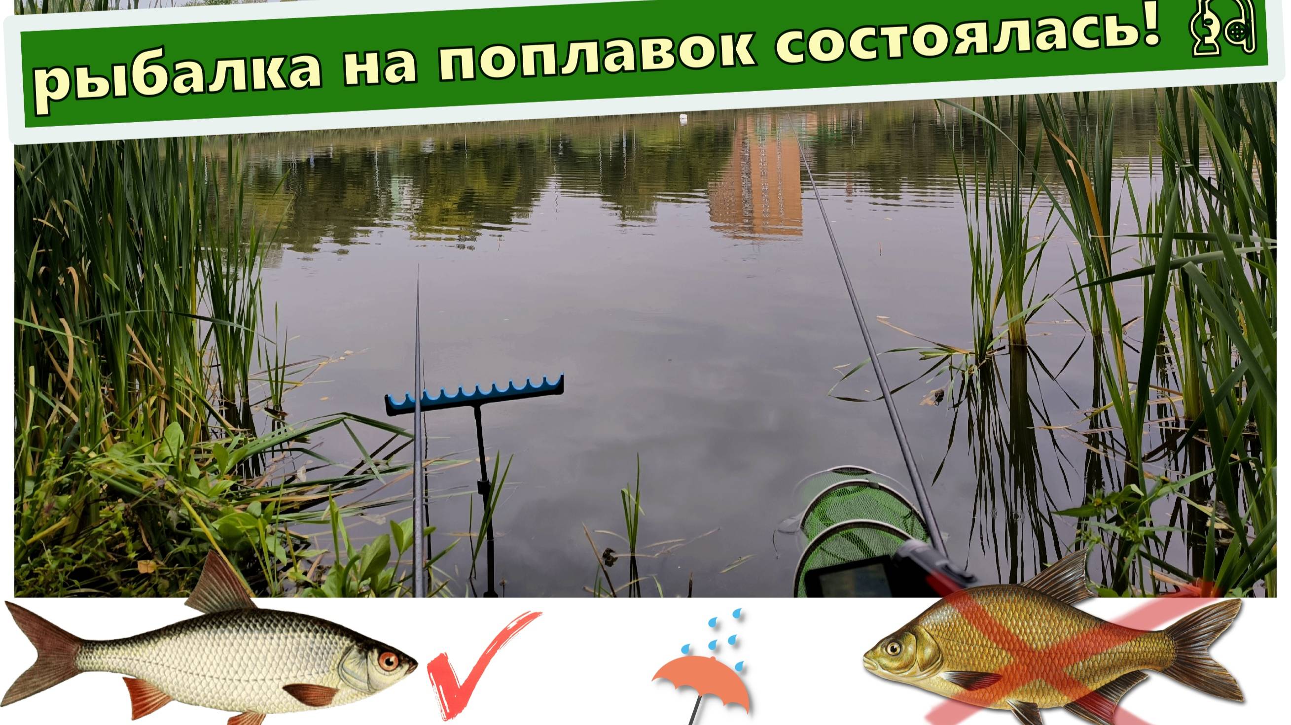 рыбалка на поплавок состоялась смотреть онлайн