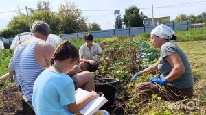 Будни многодетной матушки.Собираем урожай.К такому невозможно привыкнуть 😔