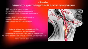 Лекция № 2 (сканирование сосудов шей) Лектор Молов М.Р.