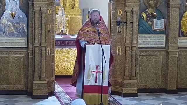 Исцеление у Овечьих ворот. Проповедь иерея Вячеслава Завального смотреть онлайн