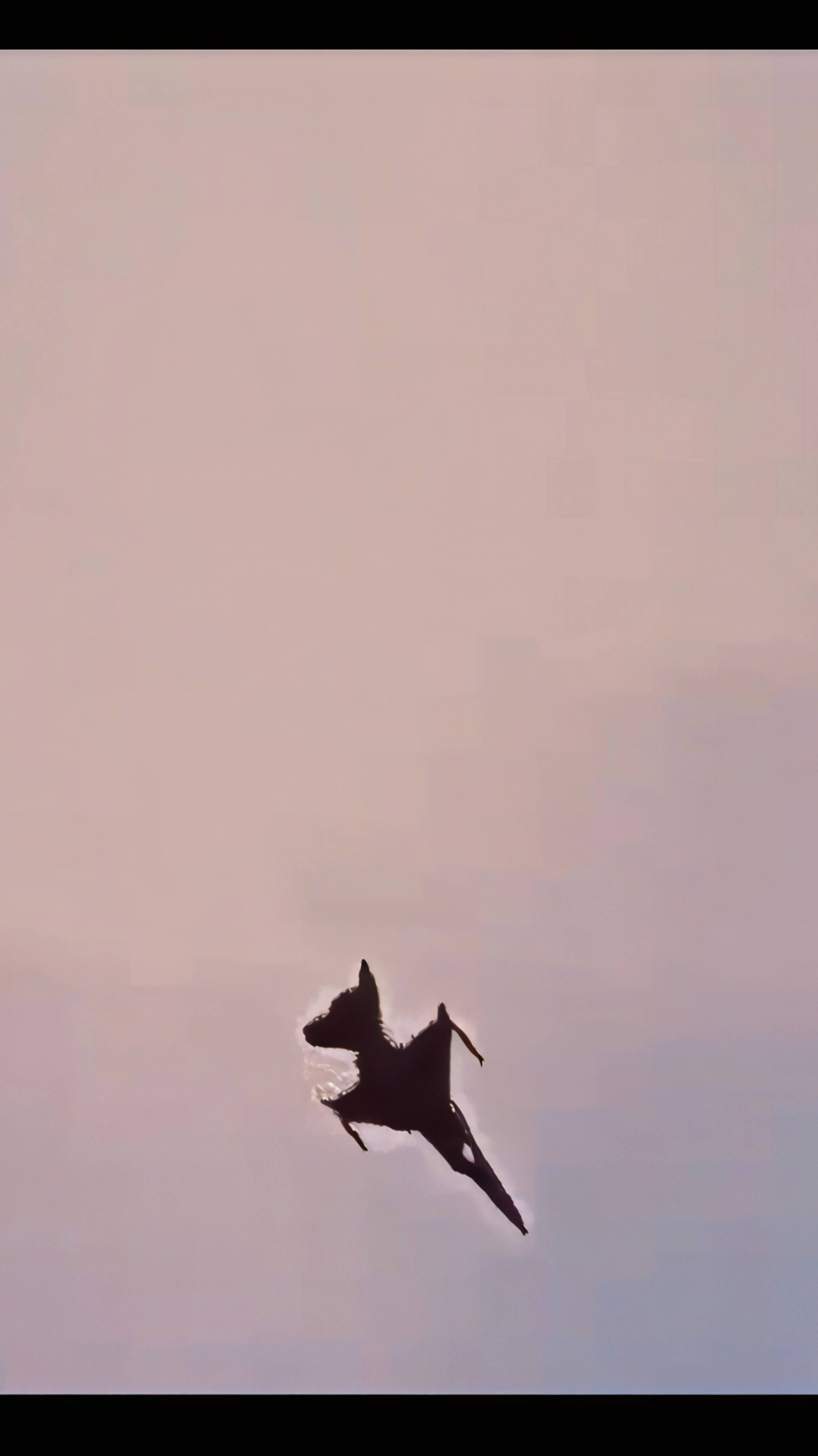 В Польше во время тренировки к авиашоу разбился самолёт F - 16🛩️