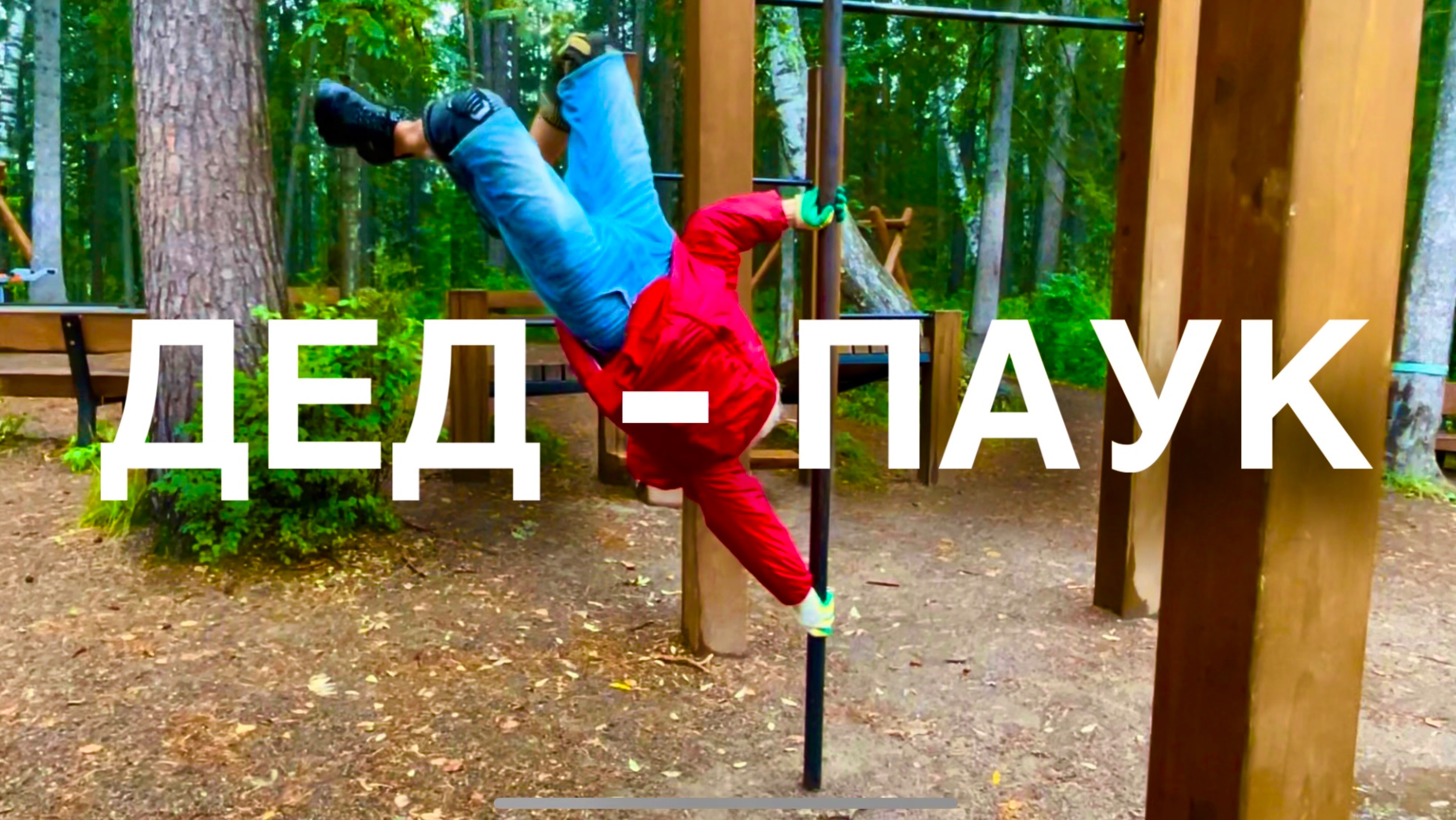 Интервью с дедом - пауком: Андреем Андронычем. Эпизод 3