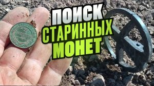 Поиск старинных монет в надежде найти золотую