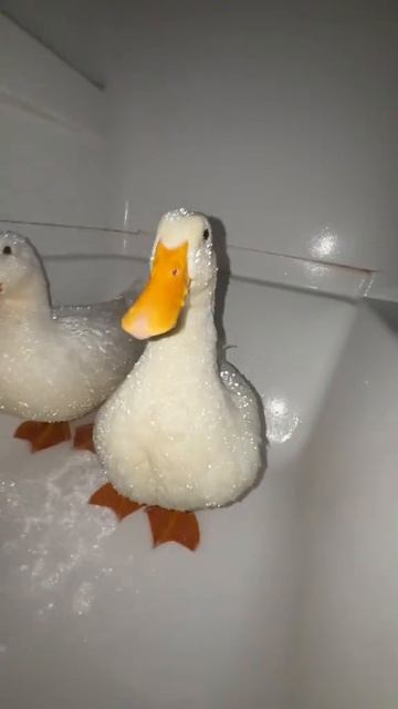 uwu. смотреть онлайн