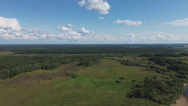 Северная Двина 12.08.2025