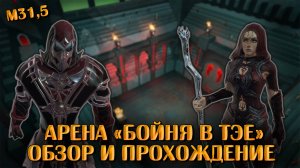 Арена «Бойня в Тэе» | Neverwinter Online | M31,5