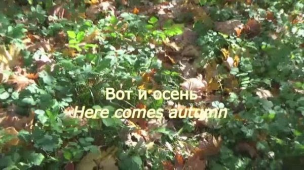 Вот и осень. Музыка Сергея Чекалина