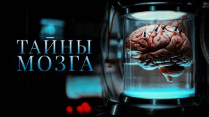 Что показали секретные эксперименты над мозгом? Шишковидная железа - ключ к сверхспособностям?