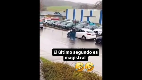 Funniest Videos Animals 🐧 Best Of The 2024 Funny Animal Videos😁