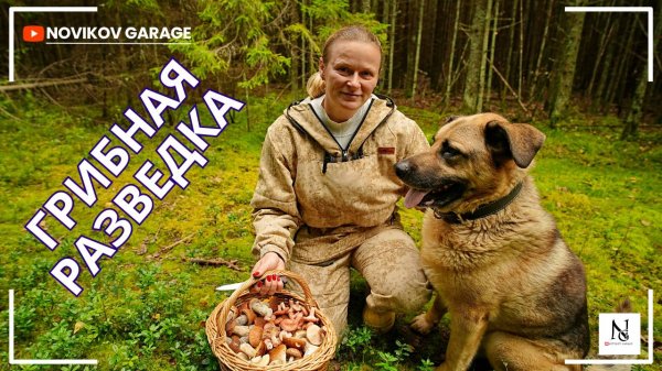 Грибная разведка 29 августа 2025. Всеволожский район.