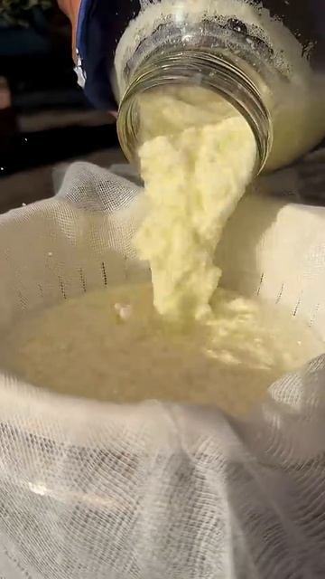 Я просто беру МОЛОКО с ЛИМОНОМ и получаю НЕЖНЕЙШИЙ домашний СЫР смотреть онлайн