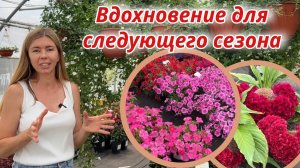 Беру на заметку: эти цветы я хочу вырастить в следующем сезоне. Вдохновляющая экскурсия